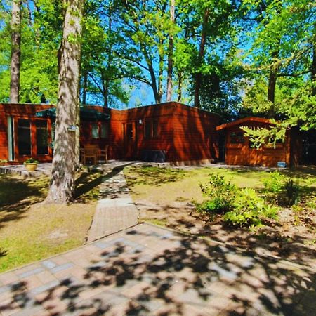 Wooden Nature Chalet - Dennenrhode Doornspijk Exterior foto